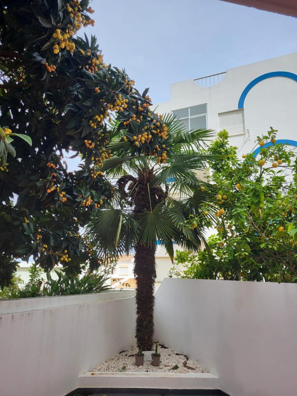 HostelccPortimão Dış mekan fotoğraf